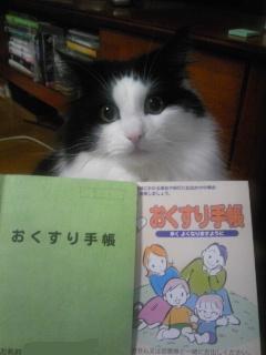 左が旧。右が新。上は猫。